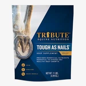Tough As Nails® Equine Hoof Supplement