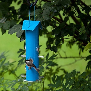 Perky-Pet® Blue Metal Tube Bird Feeder