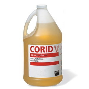 Corid® 9.6% Oral Solution Coccidiossis Preventative for Calves