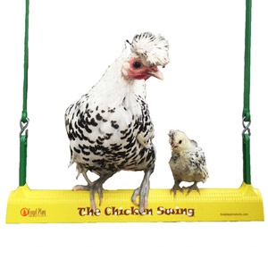 Fowl Play® Chicken Swing