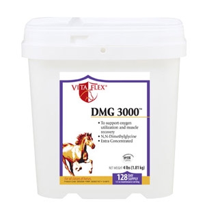 VitaFlex® Dmg 3000 Concentrated Performance Supplement for Horses