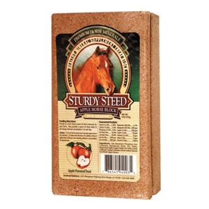 Evolved Habitats® Sturdy Steed Apple Horse Mineral Block