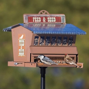 Heritage Farms Absolute® Squirrel Proof Feed & Seed Bird Feeder 