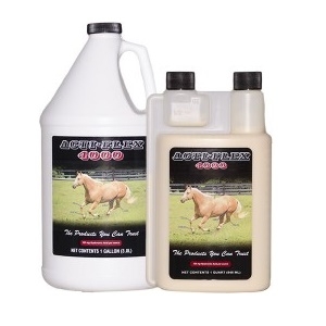 Acti-Flex 4000 Liquid Joint Supplement