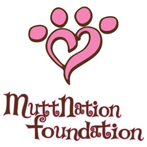 Petmate® MuttNation™ Dog Toys, Collars, and Leashes