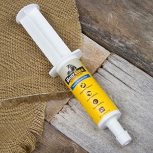 Redmond™ Equine Daily Gold Quick Relief Syringe