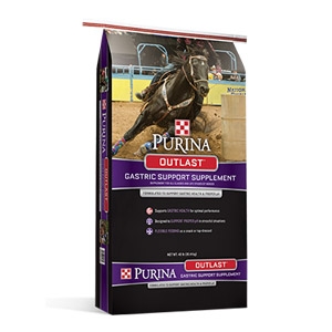 Purina® Outlast™ Gastric Support Supplement