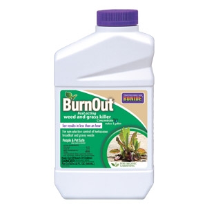 BurnOut® Weed & Grass Killer Concentrate