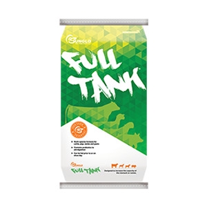 Sunglo® Full Tank Show Supplement