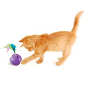 Spot® Cat Toys