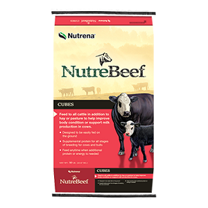 Nutrebeef Cubes
