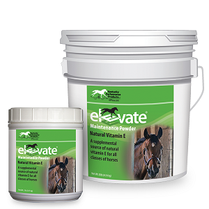 Elevate® Maintenance Powder