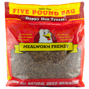 Mealworm Frenzy 5 pounds 