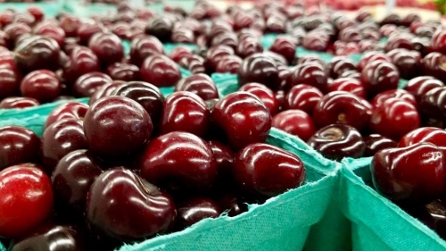 Locally Grown Sweet Cherries