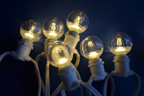 CAFE LIGHTS 50'