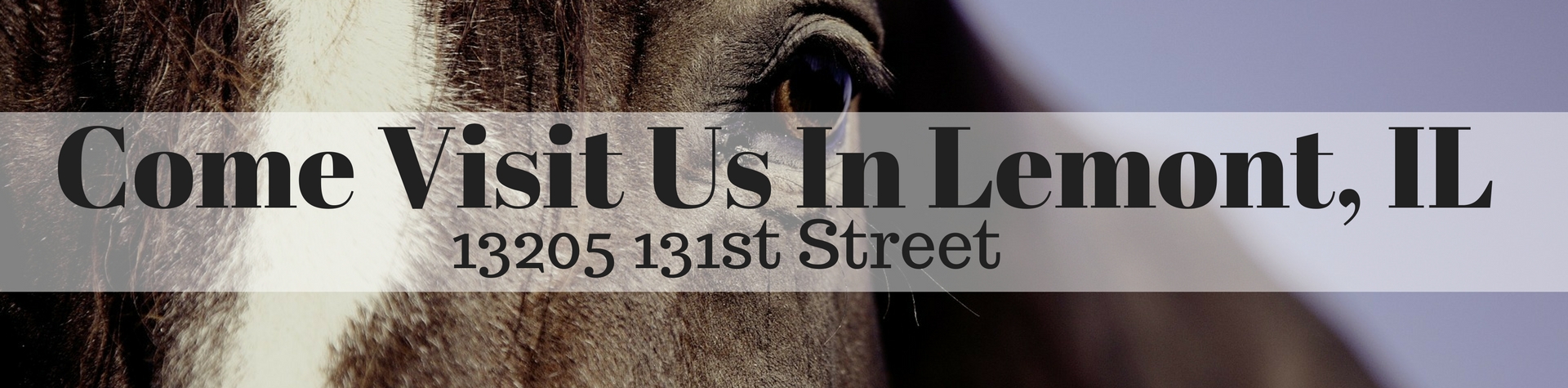 visit us