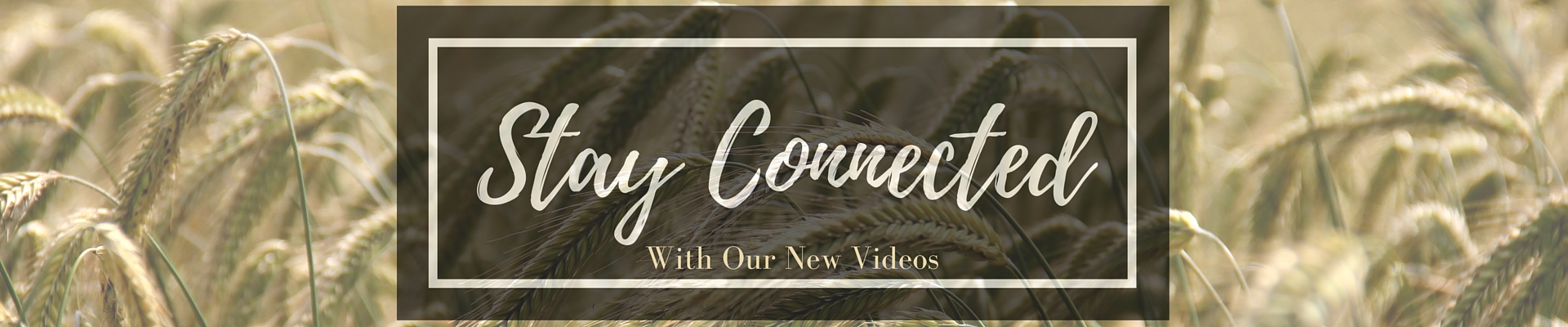 Stay Connected