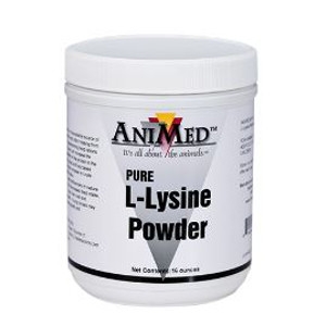 L-Lysine Powder Supplement 16 Oz.