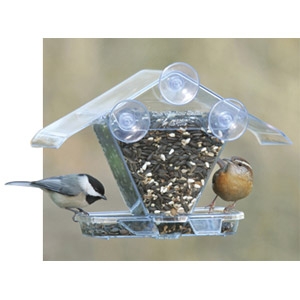 Aspects® Window Cafe Bird Feeder