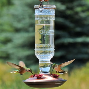 Perky-Pet® Clear Antique Bottle Glass Hummingbird Feeder