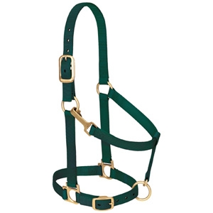 Weaver Leather Basic Adjustable Chin and Throat Snap Halter 1" Average Horse or Yearling Draft