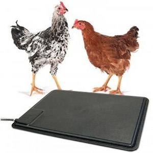 K&H Thermo-Chicken™ Heated Chicken Pad