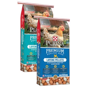 Purina® Layena® Premium Poultry Crumbles 