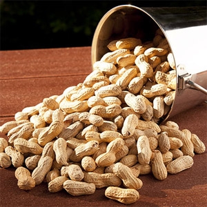 50-lb. Raw In-shell Peanuts
