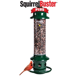 Squirrel Buster® Plus
