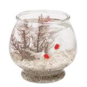 1 Gallon Footed Glass Fish Bowl
