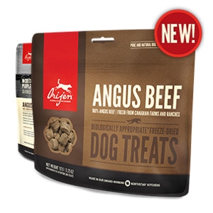 Orijen Freeze-Dried Angus Beef Treats for Dogs