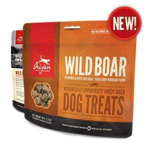 Orijen Freeze-Dried Wild Boar Treats for Dogs- 1.5oz