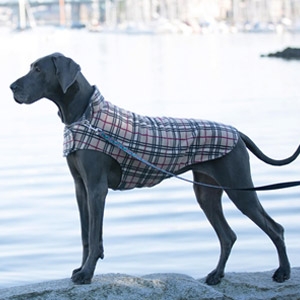RC Pets Whistler Winterwear V.2.0 Dog Coat