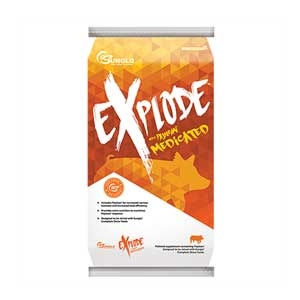 Sunglo® Explode™ Supplement