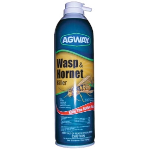 Agway Wasp & Hornet Killer