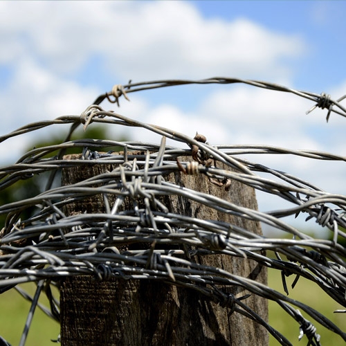 Departments, Pet Foods, Wildlife, Tools, Hardware, Poultry Supplies