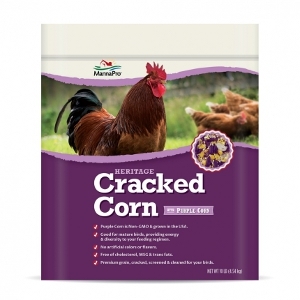 Cracked Corn with Purple Corn 
