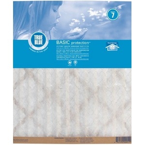 True Blue® Basic ProtectionTM Air Filter