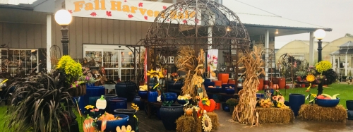 Let us Design Your Custom Containers and Planters