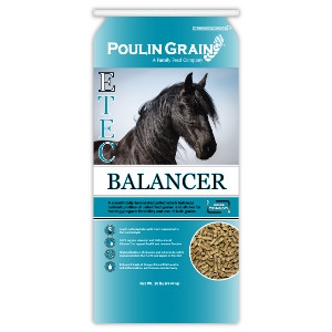 Poulin Grain E-TEC® Balancer