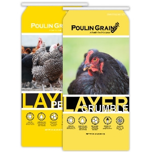 Poulin Grain Layer Products
