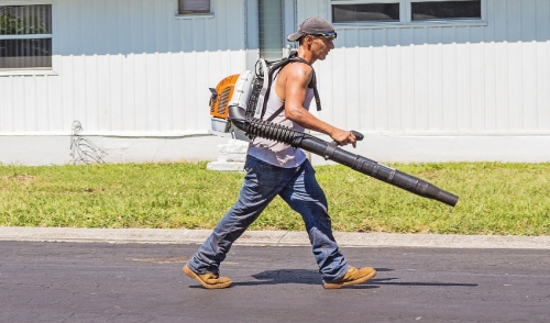 What You Need to Know About Leaf Blowers