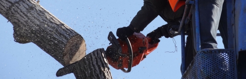 Equipment and project supplies for any size landscape.