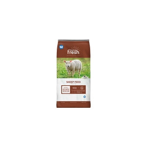 Blue Seal Home Fresh® 20 Sheep Starter Grower 50 lb.