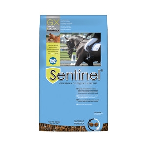 Blue Seal Sentinel Grow & Excel Horse Feed