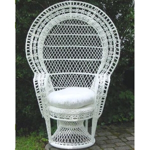 Kozy Kingdom Outdoor Peacock Chair