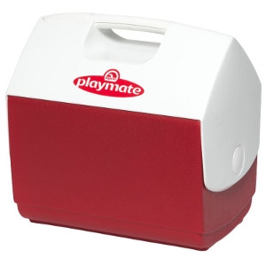 Playmate® Ice Chest