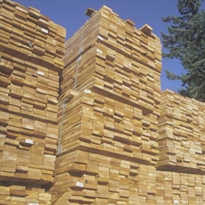 Lumber & Building Materials 
