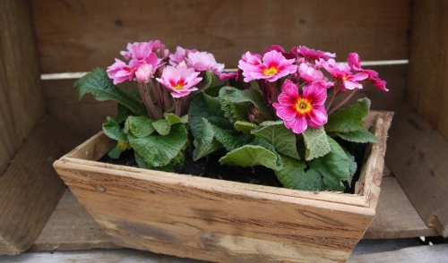 Build an Indoor Window Planter  