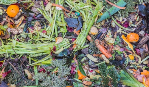 To Compost or Not To Compost  